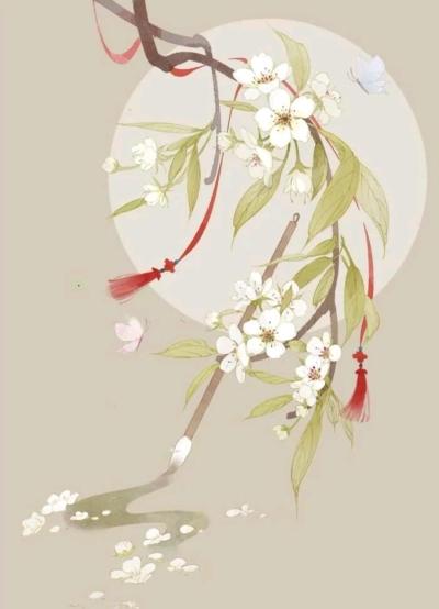 白幼微沈听肆