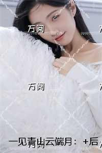 苏浅歌沈廷淮