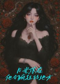 月光落在他们疯狂的地方NPH